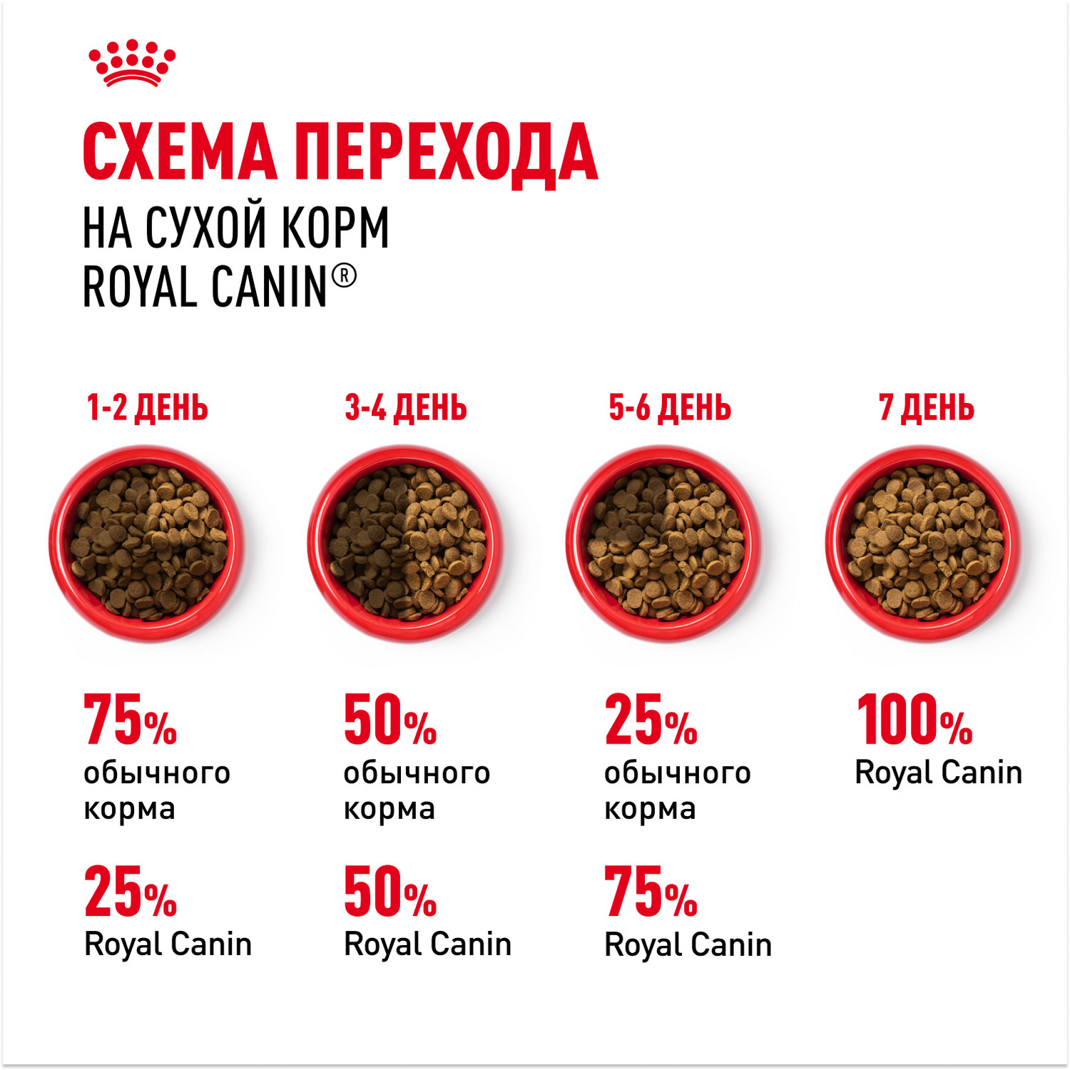 Корм сухой для кошек ROYAL CANIN Sphynx 10кг породы сфинк - фото 7
