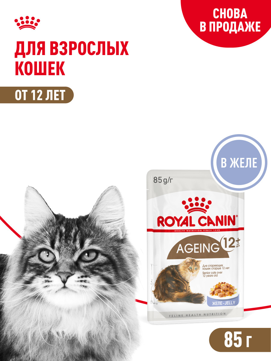 Корм для кошек ROYAL CANIN Ageing 85гр для пожилых 12+ в соусе пауч - фото 1