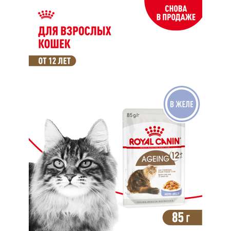 Корм для кошек ROYAL CANIN Ageing 85гр для пожилых 12+ в соусе пауч