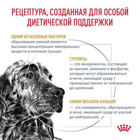 Корм для собак ROYAL CANIN Veterinary Diet Urinary S/O LP 18 при заболеваниях дистального отдела мочевыделительной системы 2кг