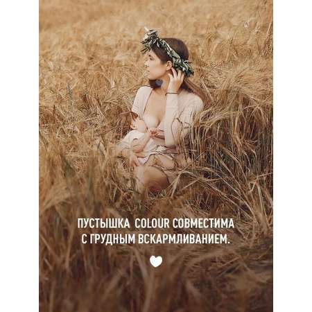 Пустышка BIBS от 0 мес. 2 шт.