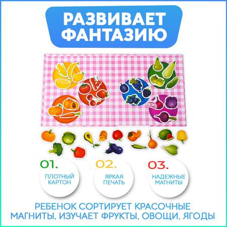 Развивающая игра на магнитах Бигр Изучаем цвета УД64