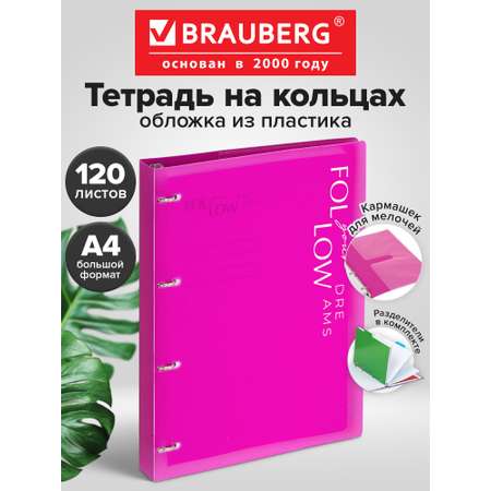 Тетрадь со сменным блоком Brauberg клетка 120 лист.