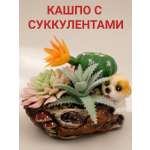 Искусственные цветы SOFANNA Собака 2