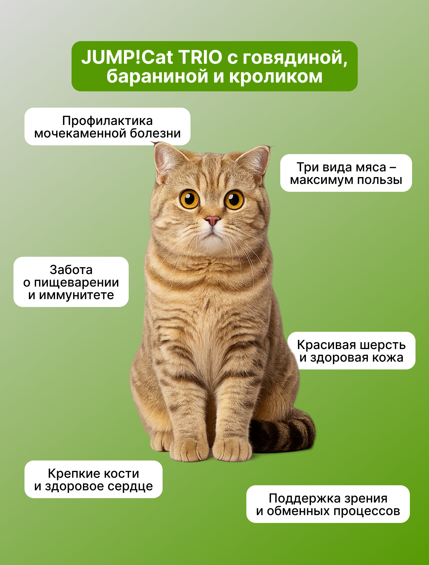 Корм сухой Jump! Для кошек - фото 3