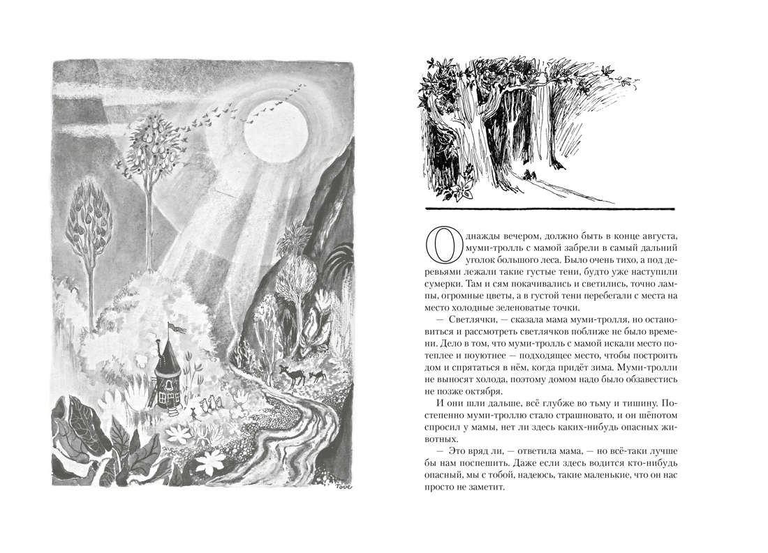 Книга АЗБУКА Всё о Муми-троллях. Комплект из 2-х книг. - фото 3