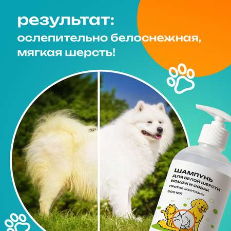 Фиолетовый шампунь PETPOWER от желтизны на белой шерсти собак и кошек