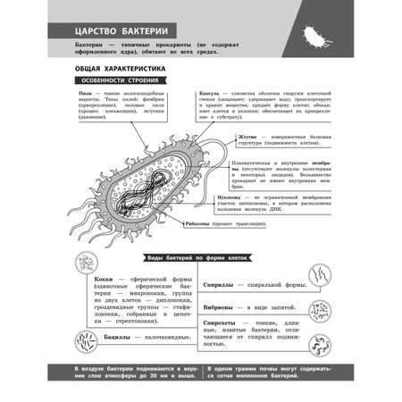 Книга Эксмо Биология в инфографике