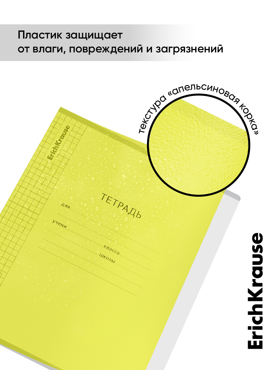 Тетрадь ErichKrause клетка 24 лист. 10 шт. - фото 4