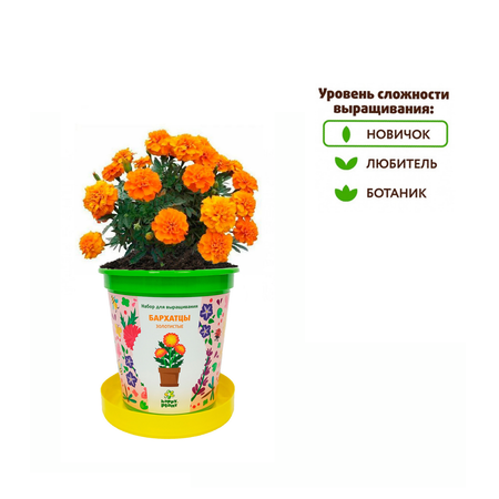 Набор для выращивания Happy Plant