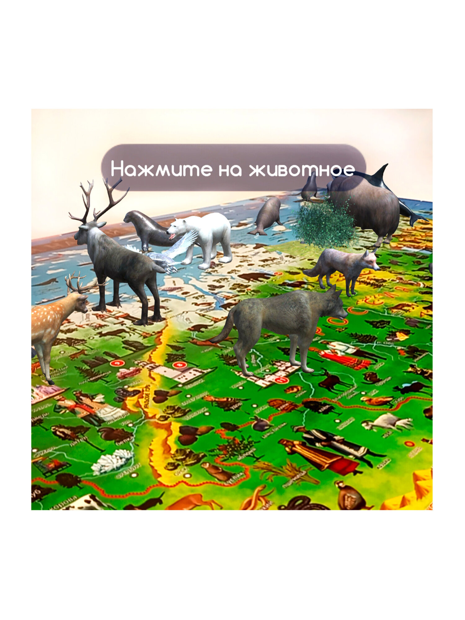 Карта настенная Юнландия детская игровая интерактивная Наша родина - фото 13