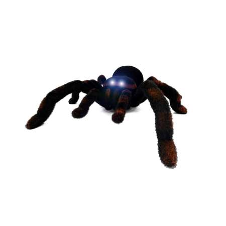 Паук РУ Cute Sunlight Toys Tarantula