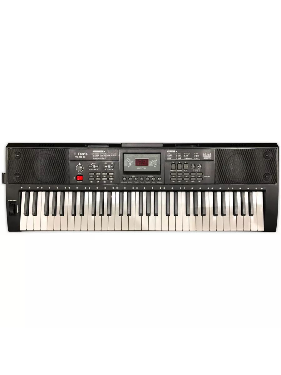Игрушка музыкальная Terris TK-250 BK синтезатор - фото 1