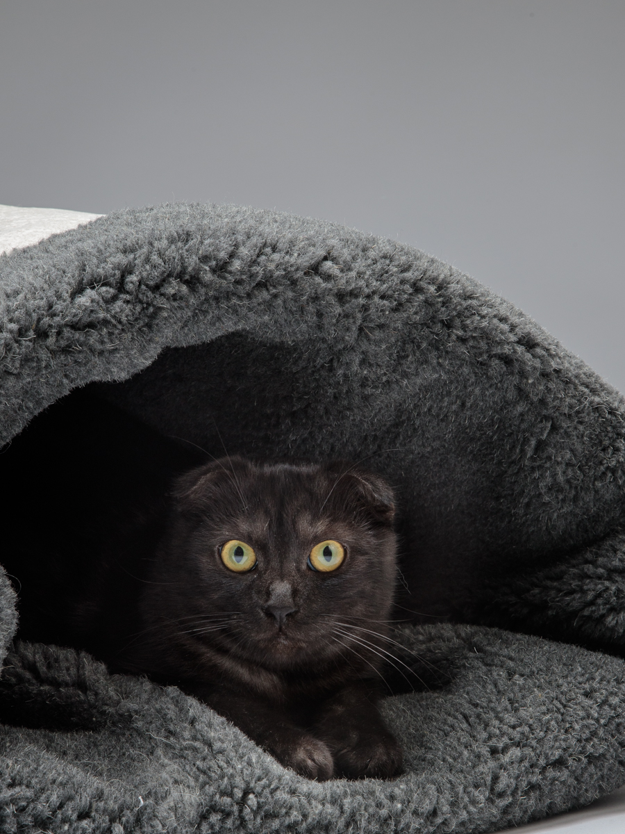 Домик для кошек и собак Пятница Нора с овчиной 50х38х50 см темно-серый - фото 7