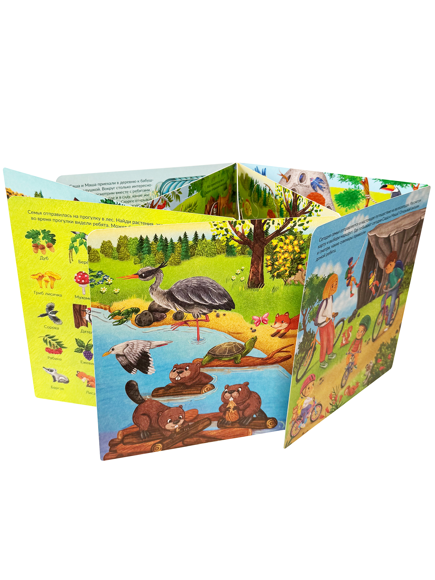 Книга с окошками Виммельбух БимБиМон Я еду за город - фото 11