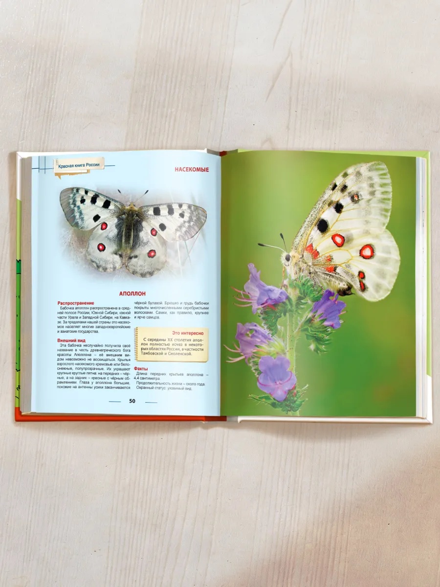 Книга Проф-Пресс Энциклопедия для детей. Красная книга России - фото 6