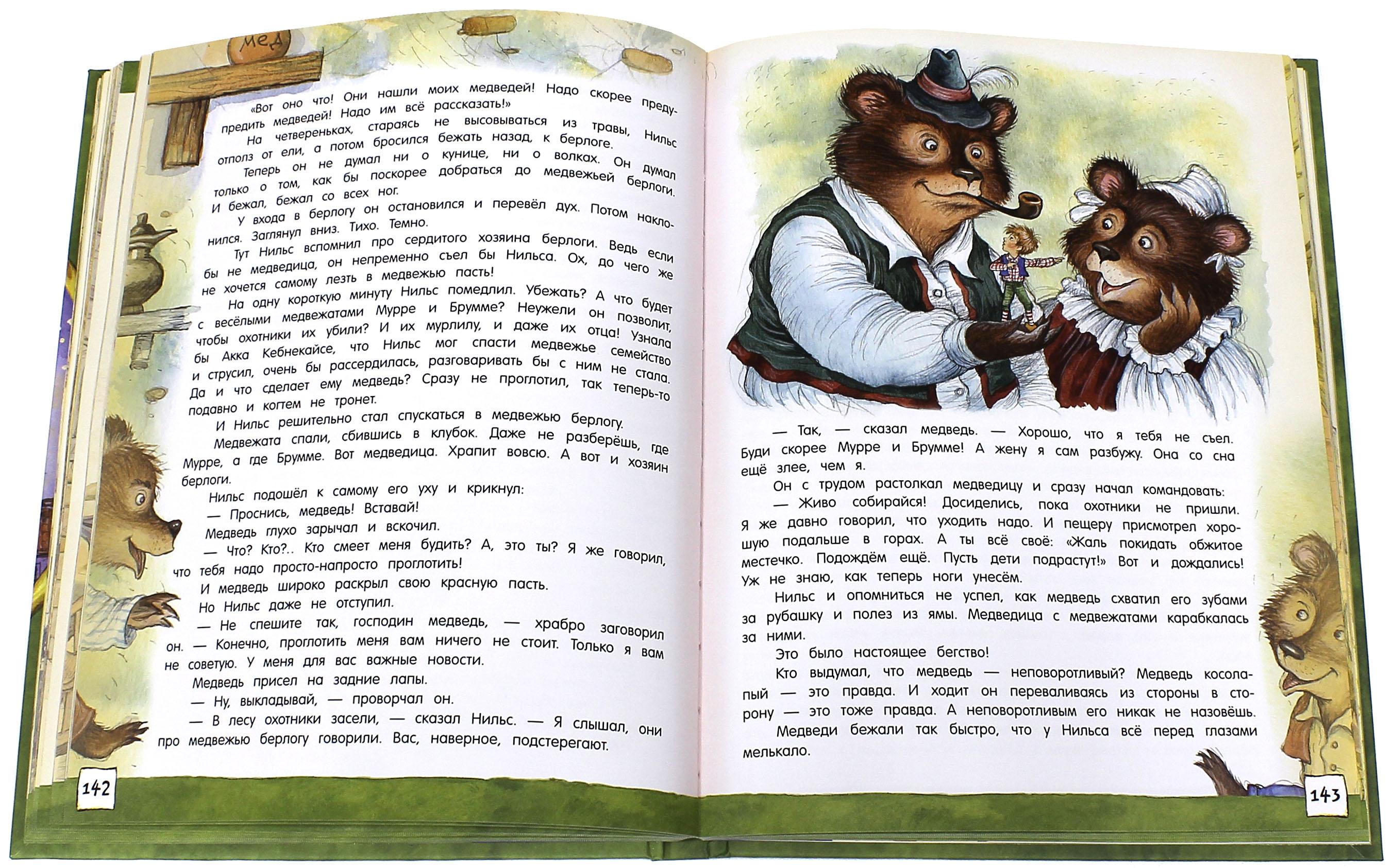 Книга Лабиринт Чудесное путешествие Нильса с дикими гусями - фото 10