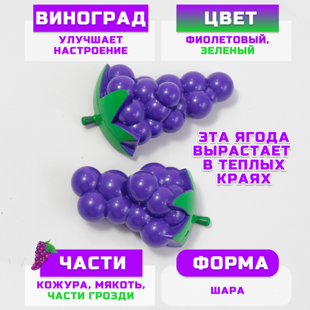 Игрушка TIPTOPOLIS продукты 11 предм.