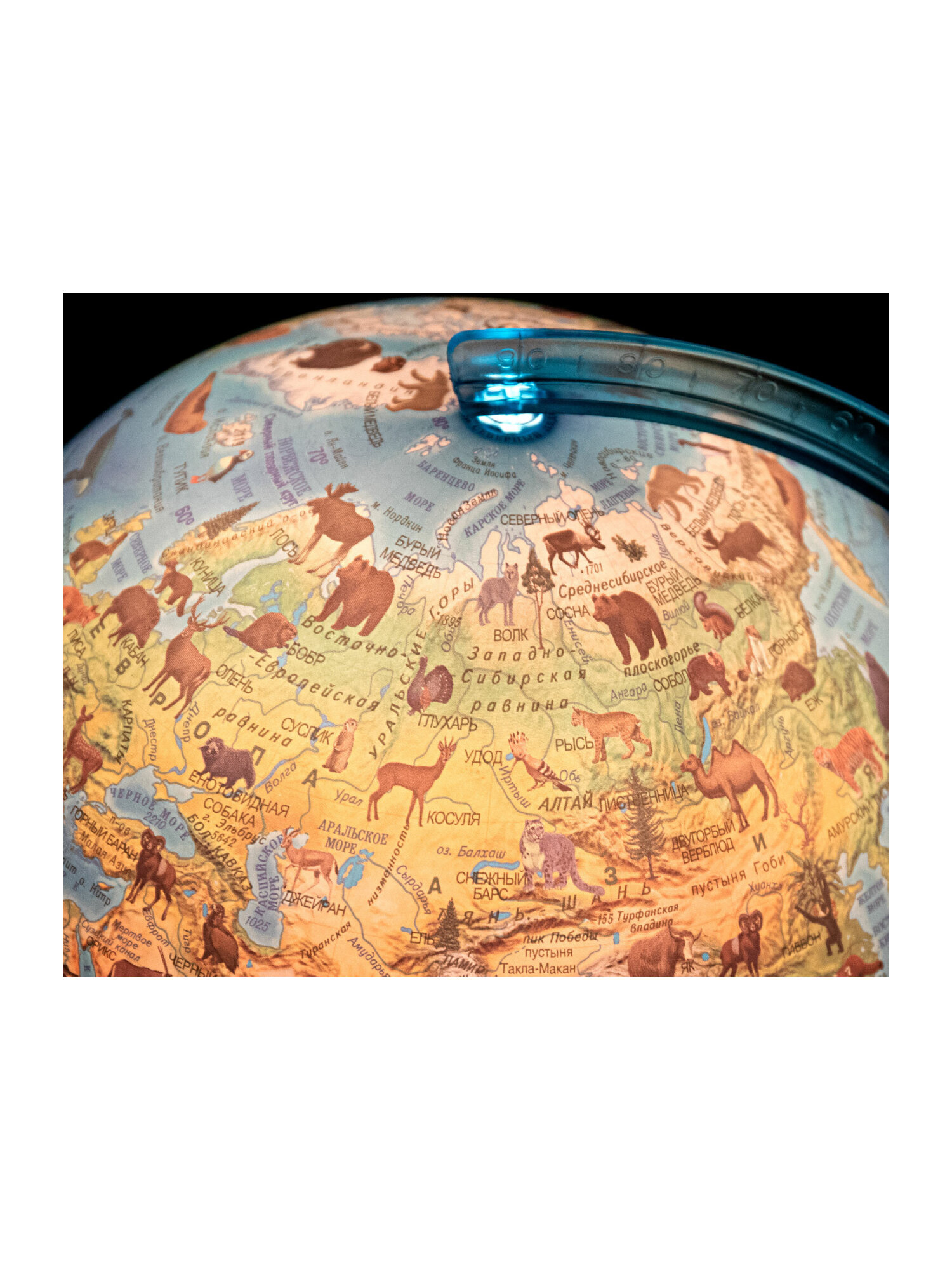 Глобус Globen зоогеографический с подсветкой диаметр 25 см - фото 16