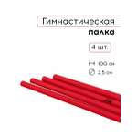 Активная игра FN Plastic Stick 1 м