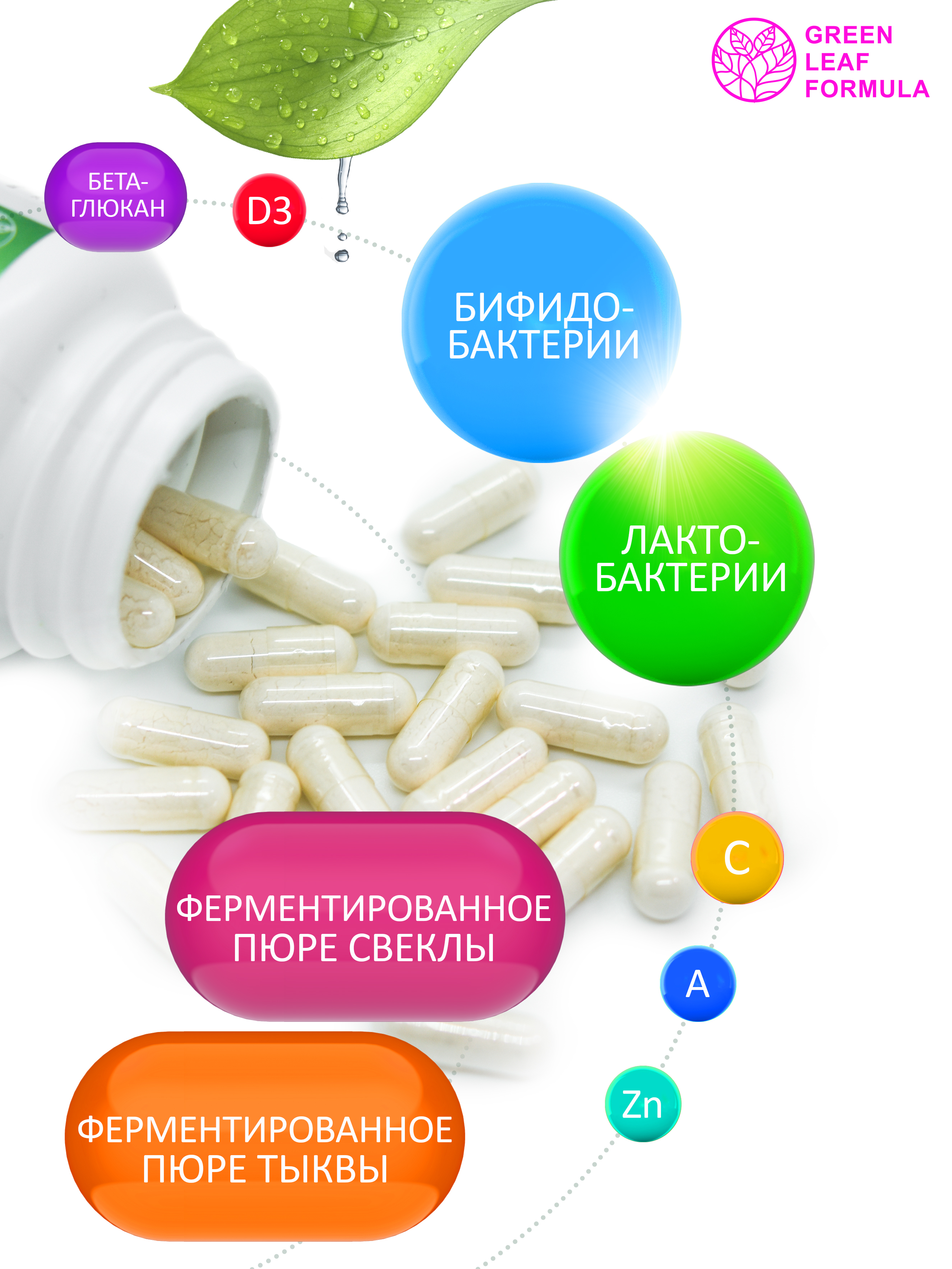 Детский пробиотик Green Leaf Formula витаминный комплекс для детей от 3 лет 60 капсул - фото 3