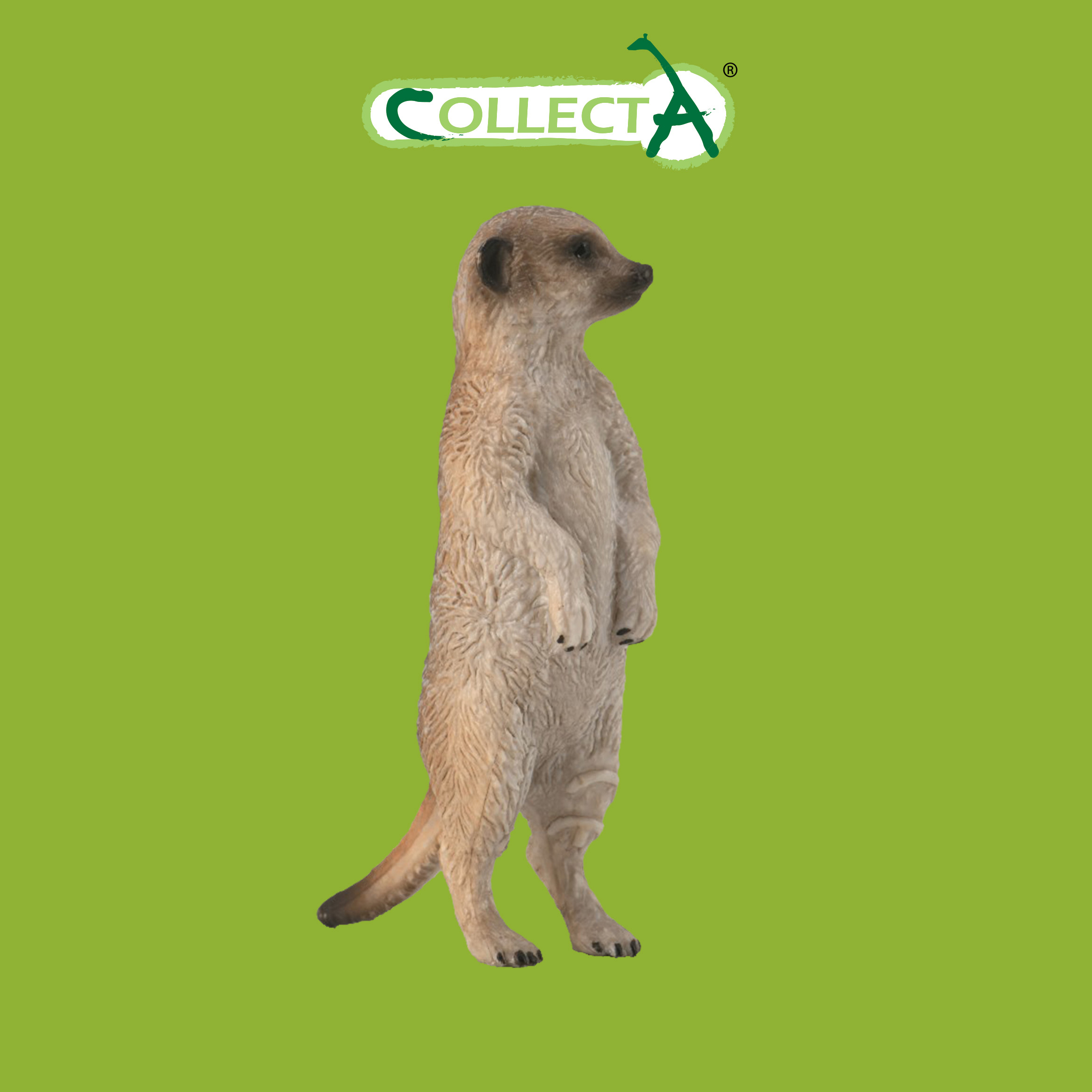 Фигурка Collecta Сурикат - фото 1