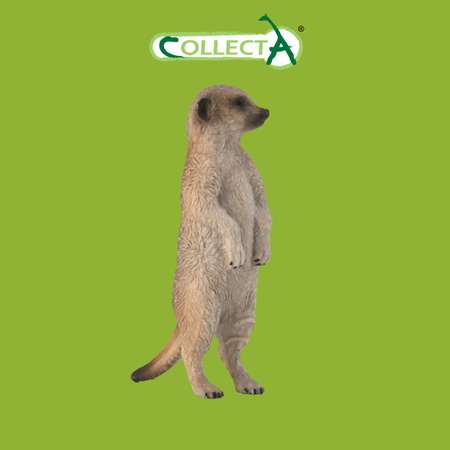 Фигурка Collecta Сурикат