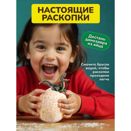 Набор для раскопок ON TIME