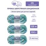 Пряжа для вязания Люблю Вязать Шерстяная секционная 100 г 125 м 3 шт