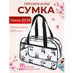 Сумка прозрачная в роддом DARIKAGROUP для бассейна
