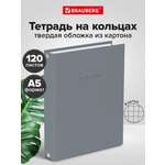 Тетрадь со сменным блоком Brauberg клетка 120 лист.
