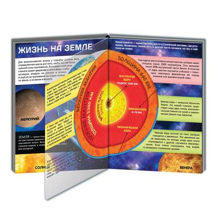 Книга Буква-ленд с прозрачными страницами «Жизнь на земле Животные и где они обитают» 30 стр