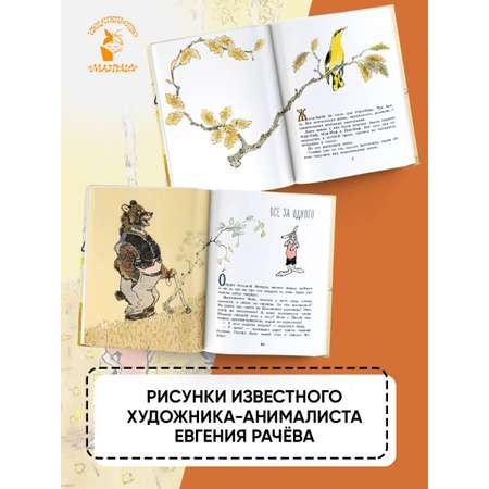 Книга АСТ Весёлые зайцы. Рисунки Е. Рачева