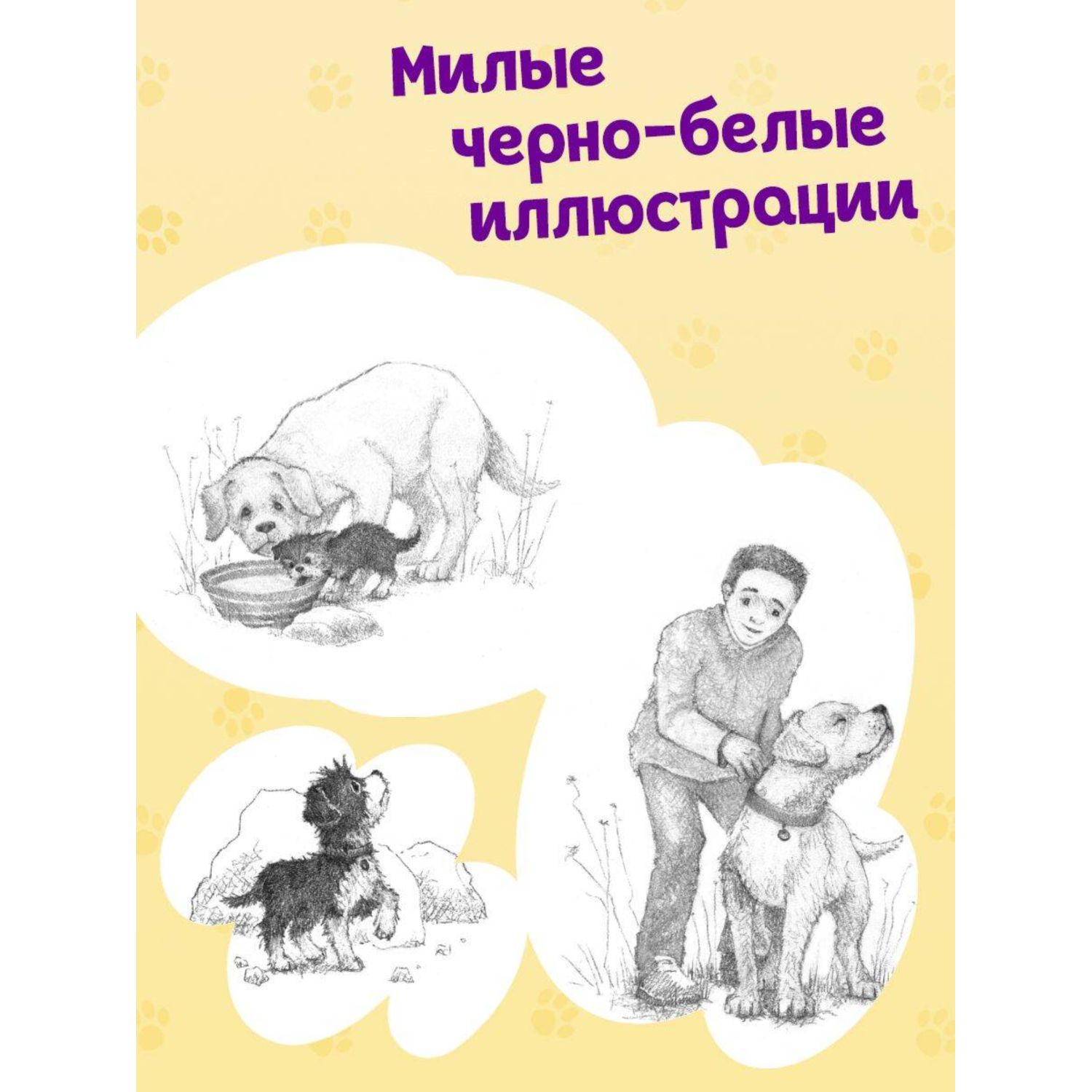 Книга Эксмо Холли Вебб Щенок Лапочка - фото 2