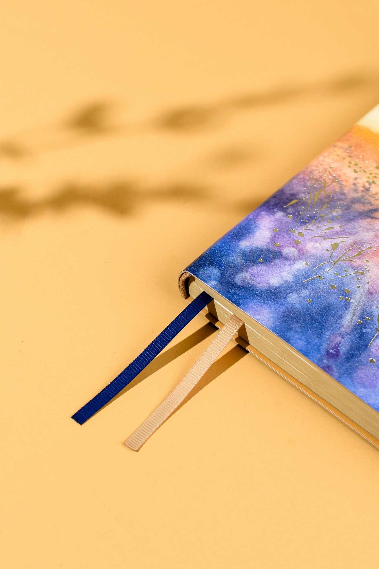 Ежедневник Феникс + ESCALADA 160 лист. - фото 5