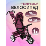 Трехколесный велосипед ZigZag 12 дюймов