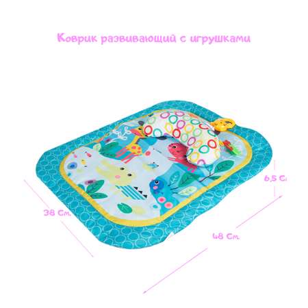 Коврик RIKI TIKI baby