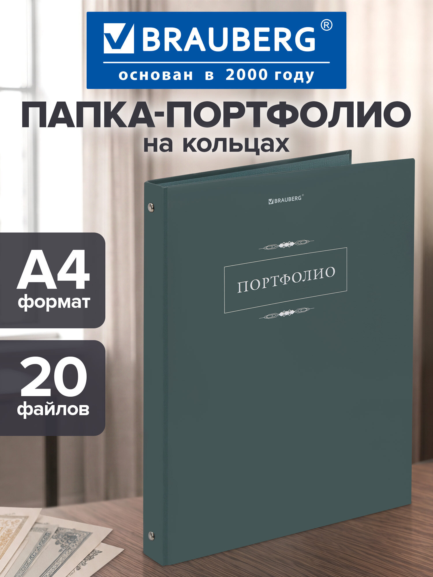 Изображение товара Портфолио школьника Brauberg А4 на кольцах 20 файлов стильный дизайн Изображение товара Портфолио школьника Brauberg А4 на кольцах 20 файлов стильный дизайн