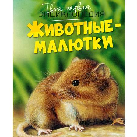 Книга Махаон ТПЭ. Дельфур Ж., Бомон Э. Животные-малютки