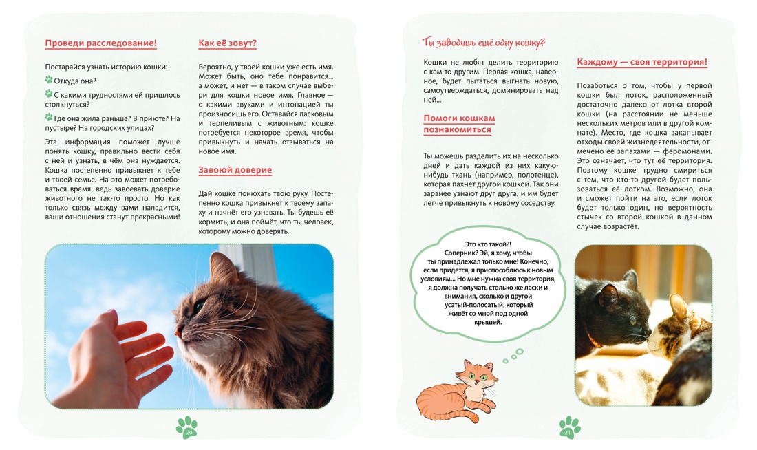 Книга Махаон Журно А. Я и моя кошка. Как понять питомца и стать ему другом - фото 8