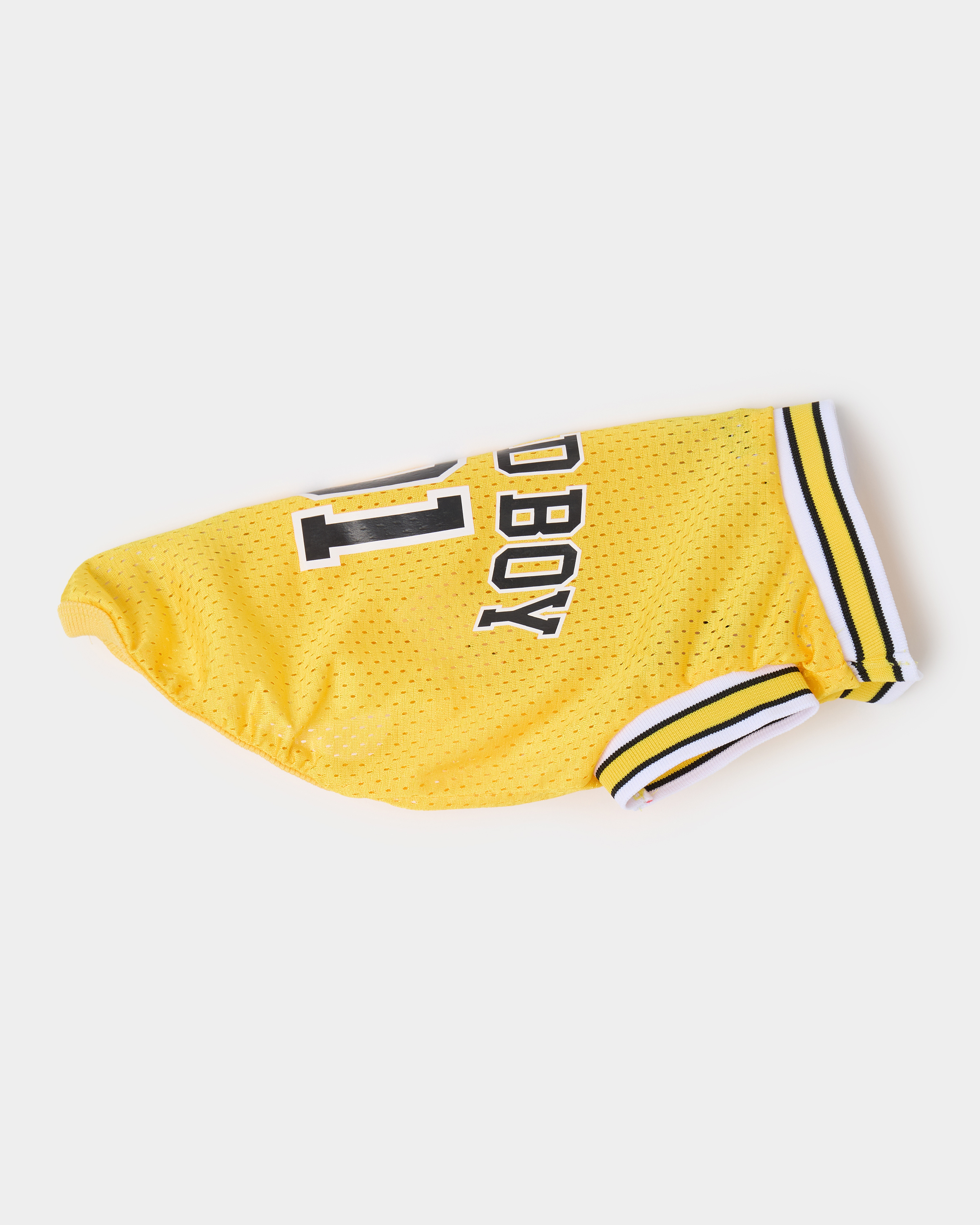 Футболка для собак и кошек Зоозавр - фото 1