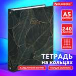 Тетрадь со сменным блоком Brauberg клетка 240 лист.