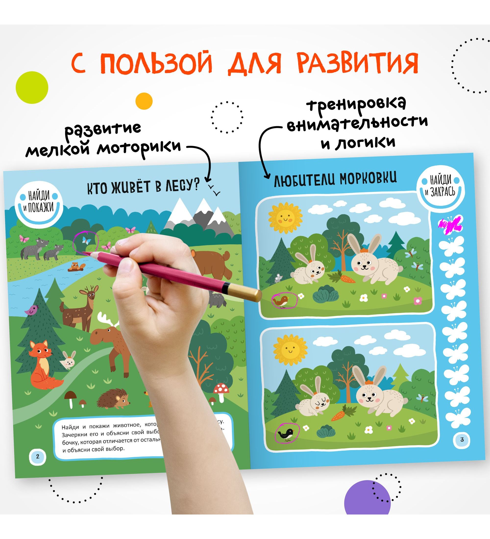Книга МОЗАИКА kids Найди отличия В лесу - фото 5