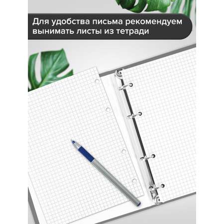 Тетрадь со сменным блоком Brauberg клетка 120 лист.