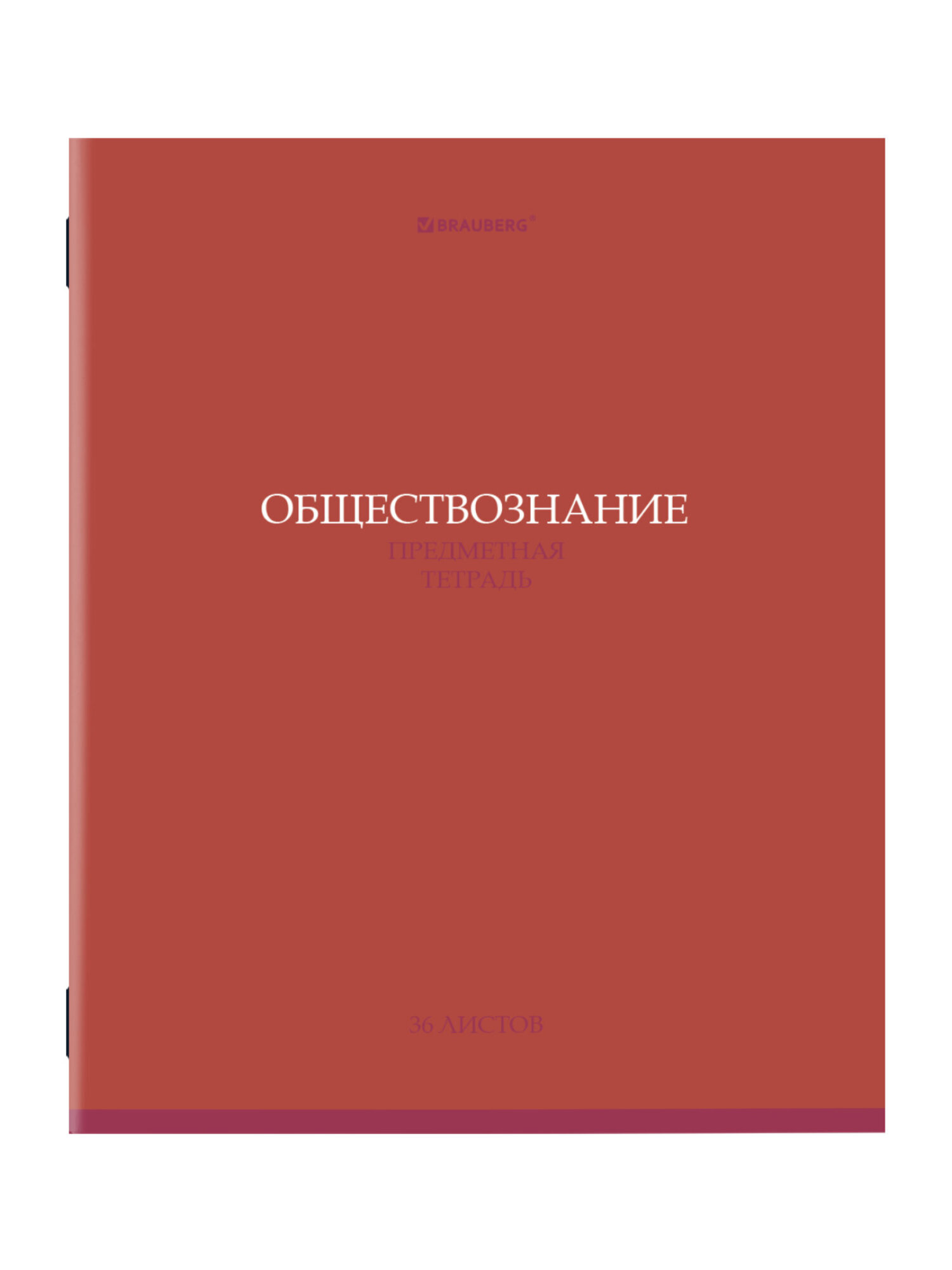 Тетрадь Brauberg 36 лист. 13 шт. - фото 10