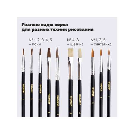 Кисть Пифагор 10 шт. (пони)