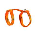 Шлейка с поводком для кошек Barbaks оранжевая