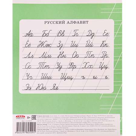 Тетрадь Prof-Press косая линейка 12 лист. 20 шт.