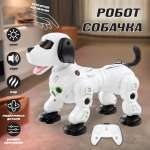 Собака РУ Veld Co