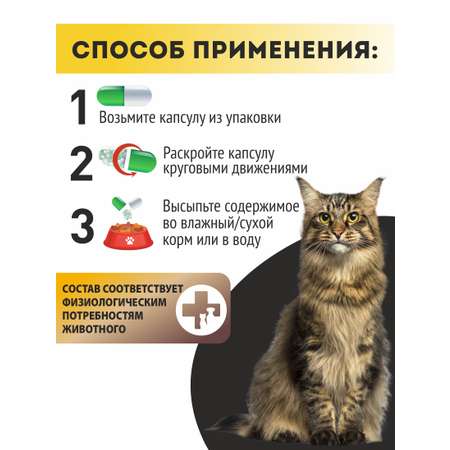 Витаминный комплекс ALTAI ANIMAL для кошек Здоровые суставы крепкие кости